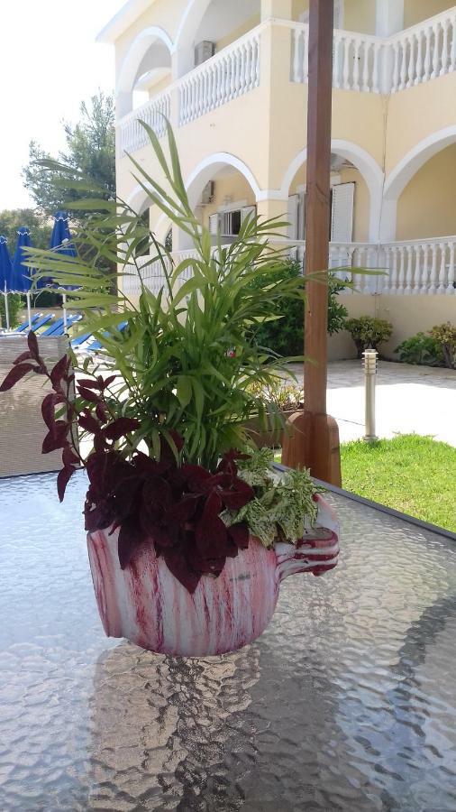 Anastasias House Laganas Ngoại thất bức ảnh