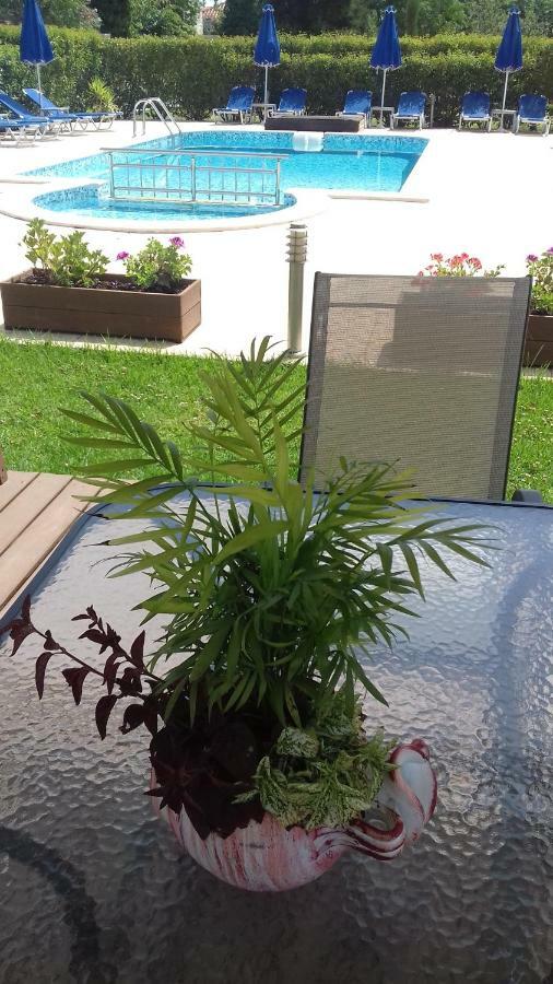 Anastasias House Laganas Ngoại thất bức ảnh